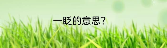一眨的意思？