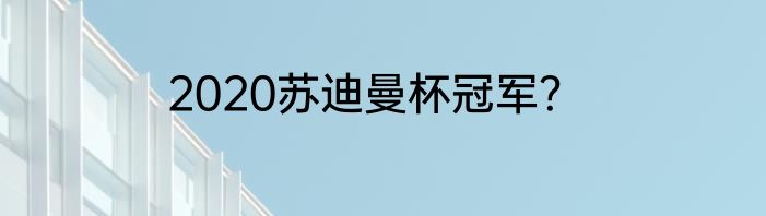 2020苏迪曼杯冠军？