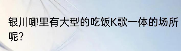 银川哪里有大型的吃饭K歌一体的场所呢？