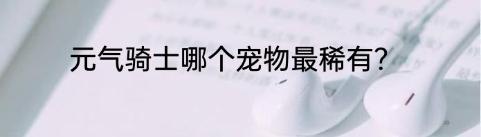 元气骑士哪个宠物最稀有？