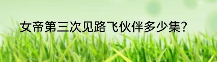 女帝第三次见路飞伙伴多少集？