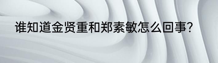 谁知道金贤重和郑素敏怎么回事？