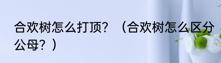 合欢树怎么打顶？（合欢树怎么区分公母？）