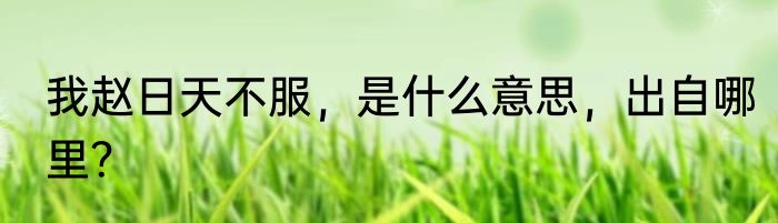 我赵日天不服，是什么意思，出自哪里？