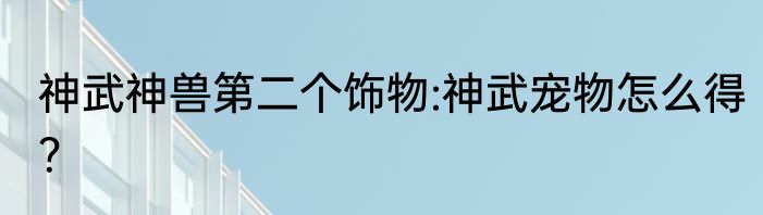 神武神兽第二个饰物:神武宠物怎么得？
