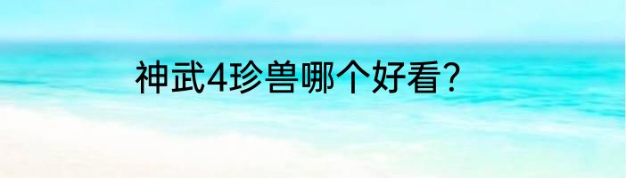 神武4珍兽哪个好看？