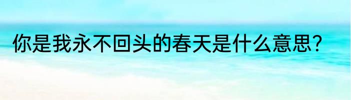 你是我永不回头的春天是什么意思？