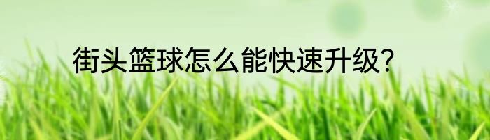 街头篮球怎么能快速升级？