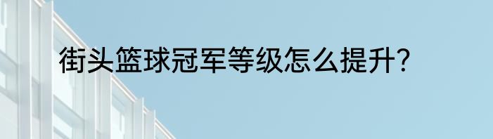 街头篮球冠军等级怎么提升？