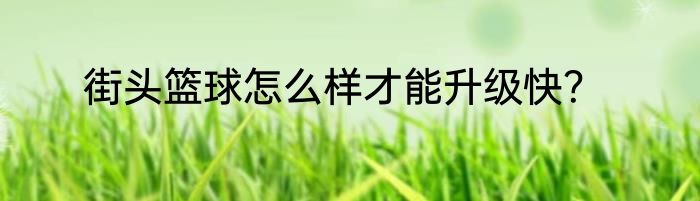 街头篮球怎么样才能升级快？