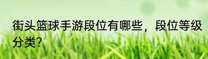 街头篮球手游段位有哪些，段位等级分类？