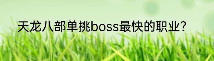 天龙八部单挑boss最快的职业？