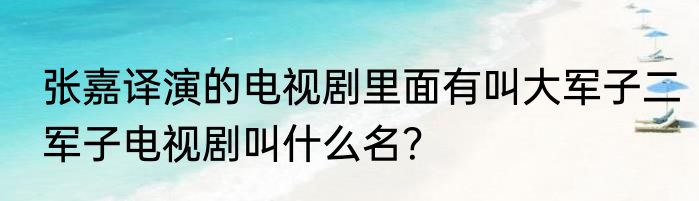 张嘉译演的电视剧里面有叫大军子二军子电视剧叫什么名？