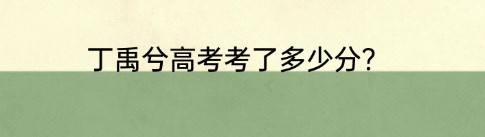 丁禹兮高考考了多少分？