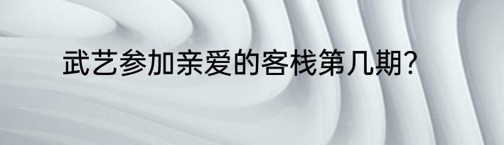 武艺参加亲爱的客栈第几期？