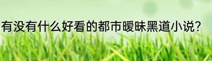 有没有什么好看的都市暧昧黑道小说？