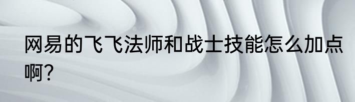 网易的飞飞法师和战士技能怎么加点啊？