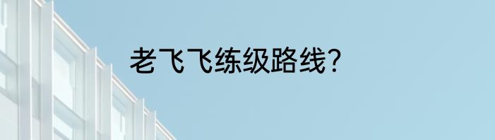 老飞飞练级路线？