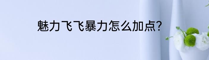 魅力飞飞暴力怎么加点？