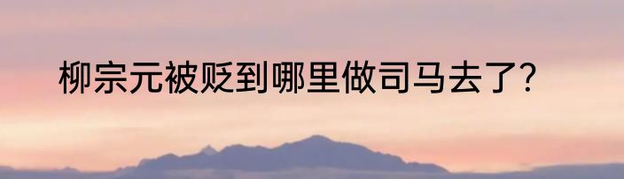 柳宗元被贬到哪里做司马去了？