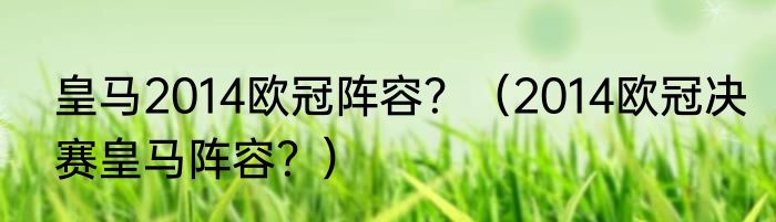 皇马2014欧冠阵容？（2014欧冠决赛皇马阵容？）
