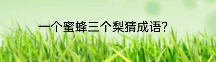 一个蜜蜂三个梨猜成语？