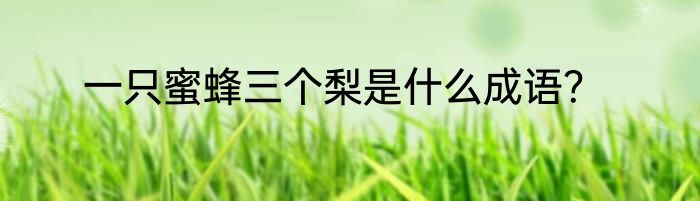 一只蜜蜂三个梨是什么成语？