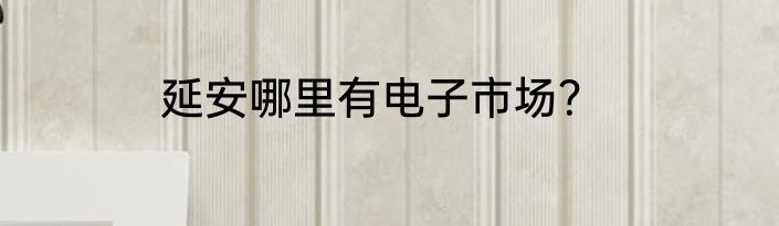 延安哪里有电子市场？
