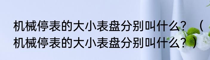 机械停表的大小表盘分别叫什么？（机械停表的大小表盘分别叫什么？）