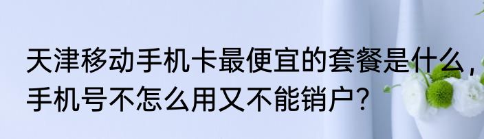 天津移动手机卡最便宜的套餐是什么，手机号不怎么用又不能销户？