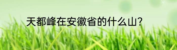 天都峰在安徽省的什么山？