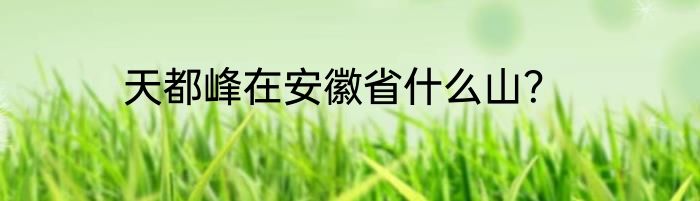 天都峰在安徽省什么山？