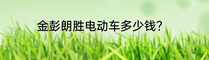 金彭朗胜电动车多少钱？
