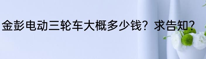 金彭电动三轮车大概多少钱？求告知？