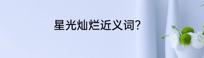 星光灿烂近义词？