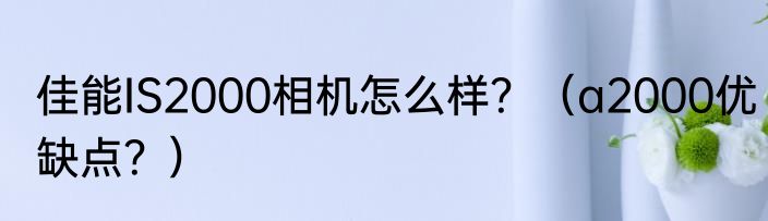 佳能IS2000相机怎么样？（a2000优缺点？）
