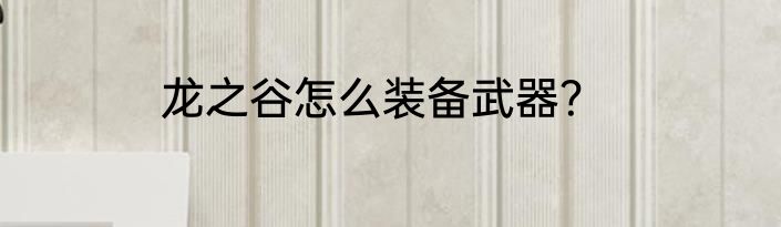 龙之谷怎么装备武器？