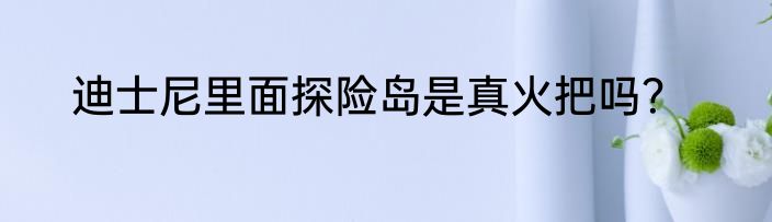 迪士尼里面探险岛是真火把吗？