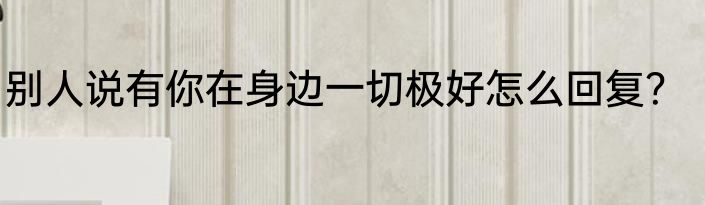 别人说有你在身边一切极好怎么回复？