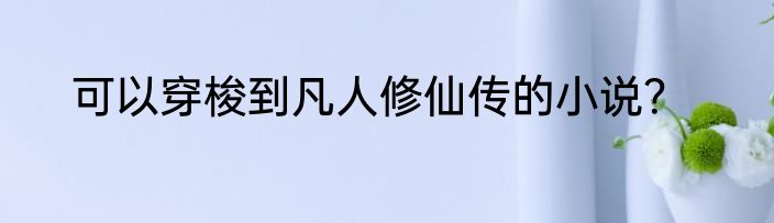 可以穿梭到凡人修仙传的小说？