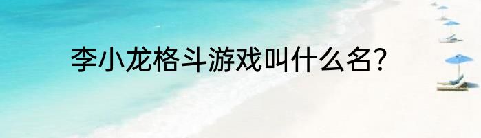 李小龙格斗游戏叫什么名？