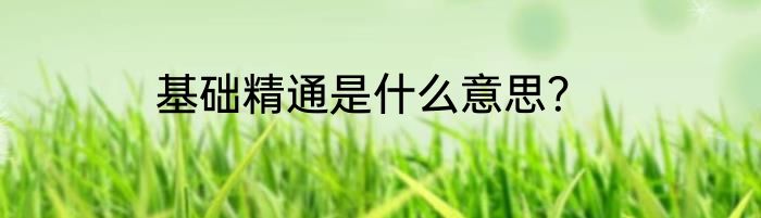 基础精通是什么意思？