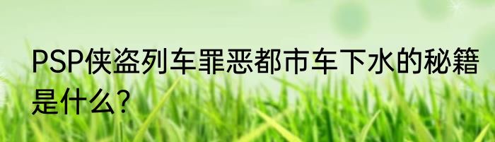 PSP侠盗列车罪恶都市车下水的秘籍是什么？