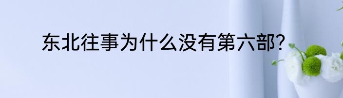 东北往事为什么没有第六部？