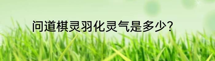 问道棋灵羽化灵气是多少？