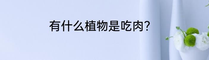 有什么植物是吃肉？