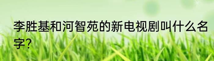 李胜基和河智苑的新电视剧叫什么名字？