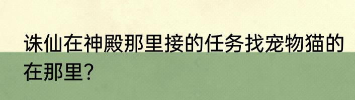 诛仙在神殿那里接的任务找宠物猫的在那里？