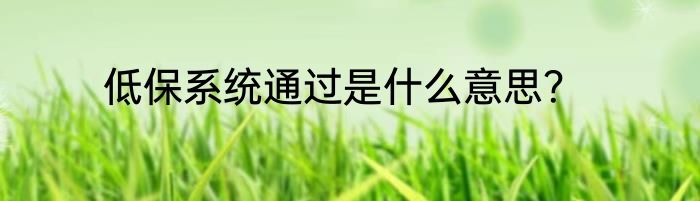 低保系统通过是什么意思？