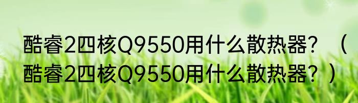酷睿2四核Q9550用什么散热器？（酷睿2四核Q9550用什么散热器？）